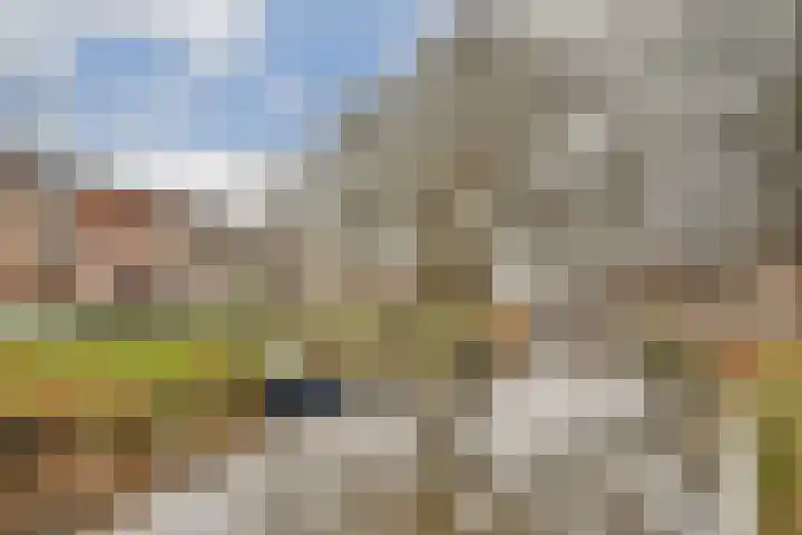 Raamsingel 18 Haarlem thumbnail 27