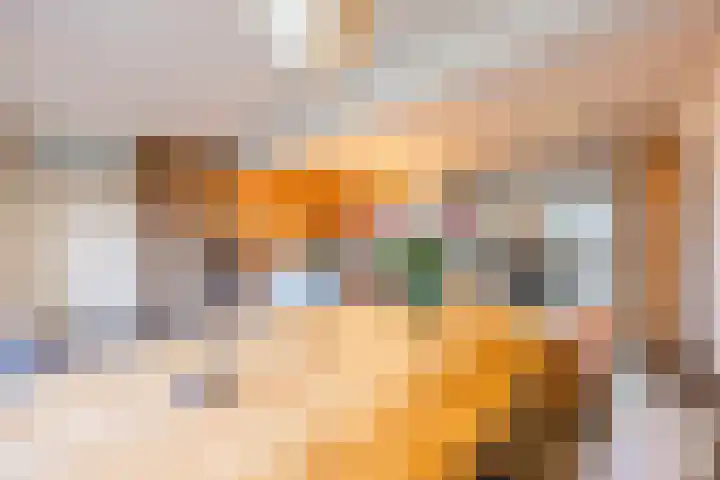 Raamsingel 28 Uden thumbnail 10