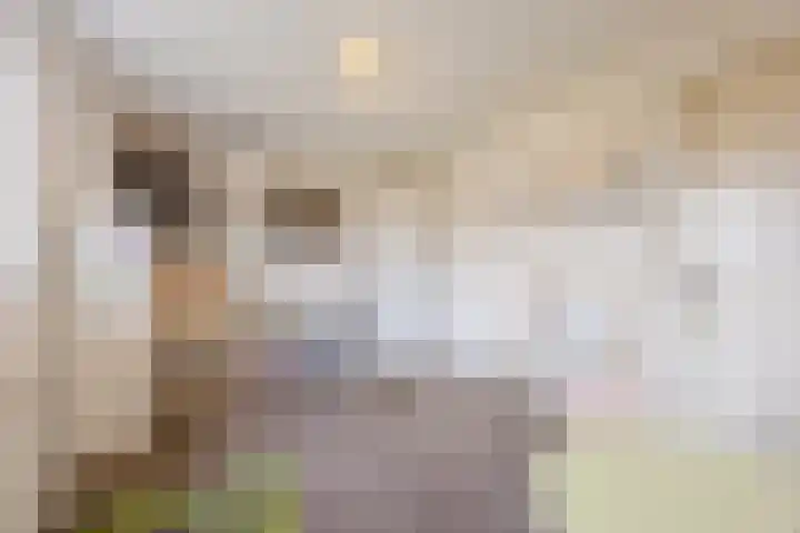 Raamsingel 28 Uden thumbnail 14