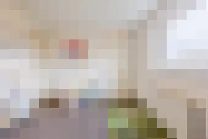 Raamsingel 28 Uden thumbnail 15