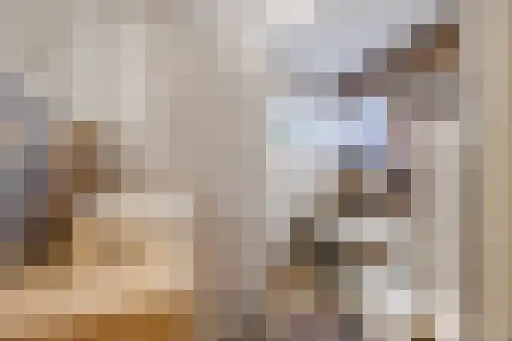 Raamsingel 28 Uden thumbnail 22