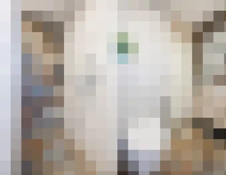 Raamsingel 28 Uden thumbnail 24