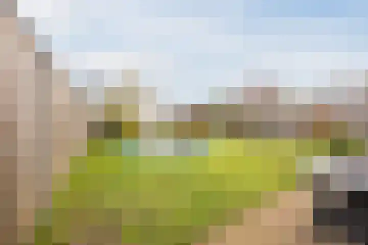 Raamsingel 28 Uden thumbnail 28