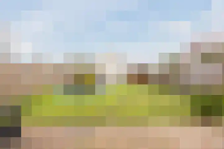 Raamsingel 28 Uden thumbnail 29