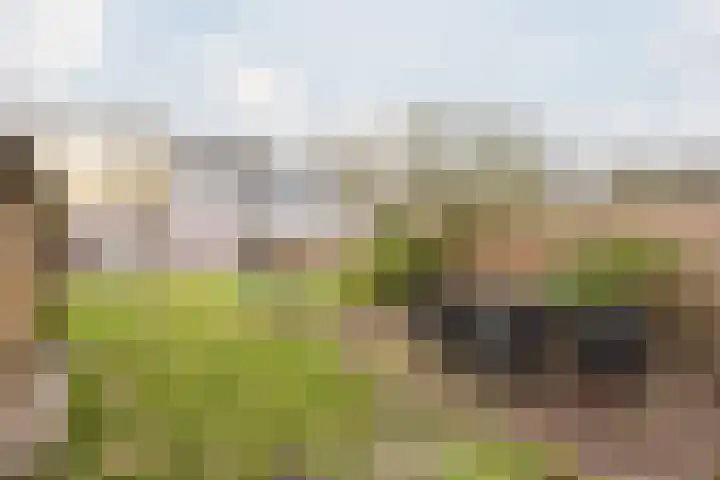 Raamsingel 28 Uden thumbnail 31
