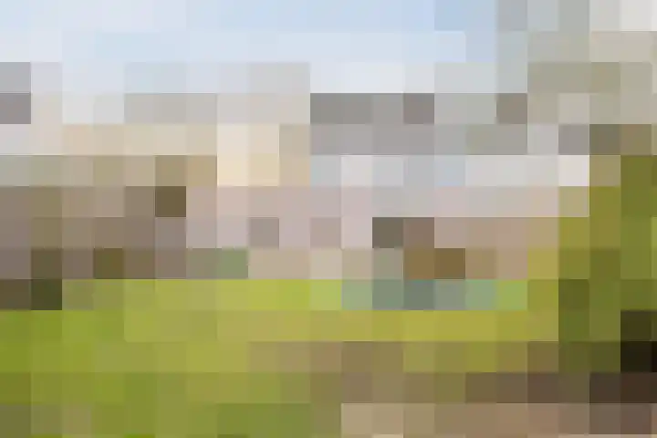 Raamsingel 28 Uden thumbnail 32