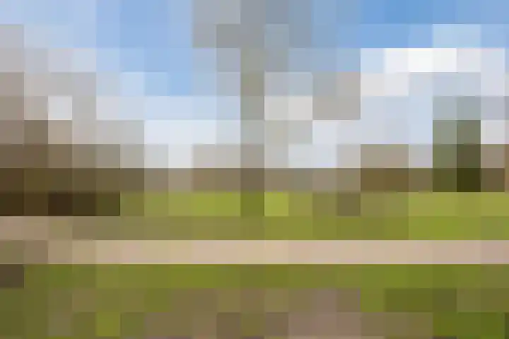 Raamsingel 28 Uden thumbnail 33