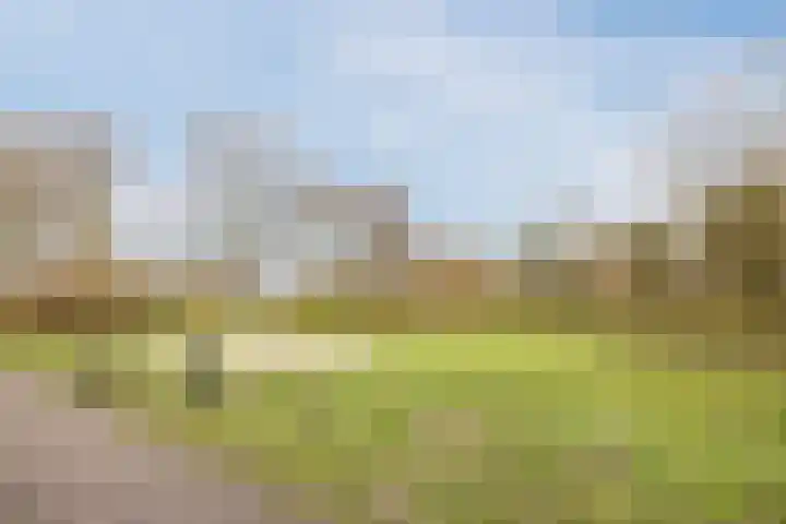 Raamsingel 28 Uden thumbnail 34