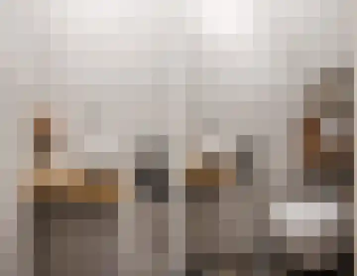 Raamsingel 28 Uden thumbnail 5