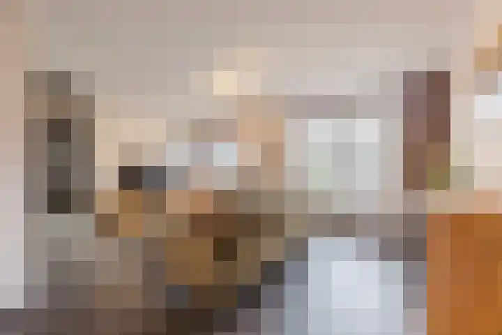 Raamsingel 28 Uden thumbnail 6