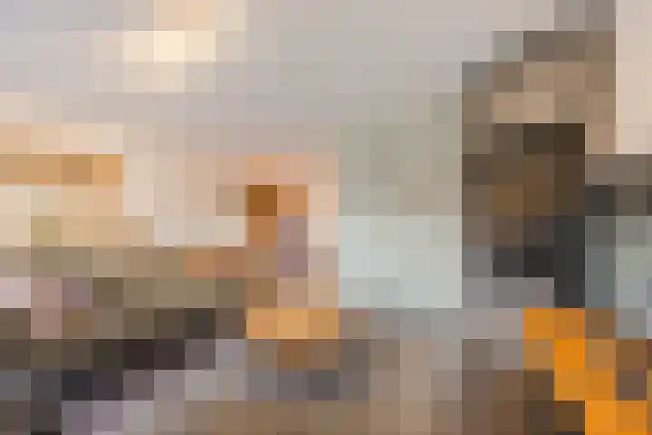 Raamsingel 28 Uden thumbnail 7