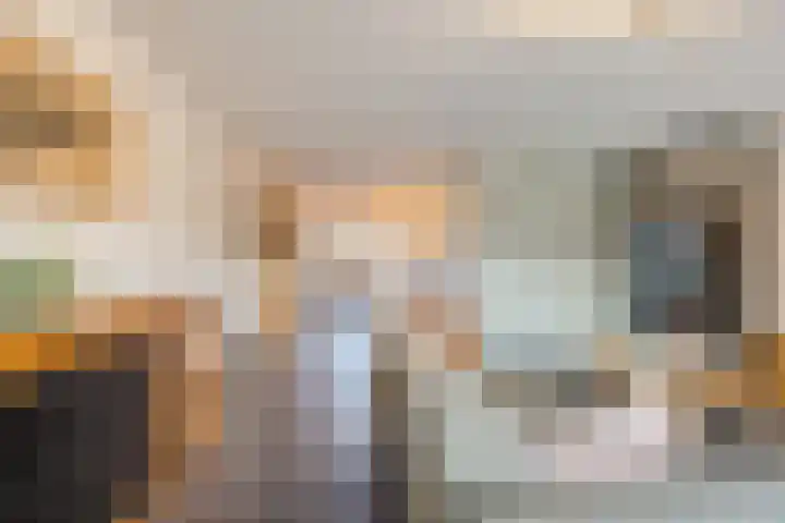 Raamsingel 28 Uden thumbnail 8
