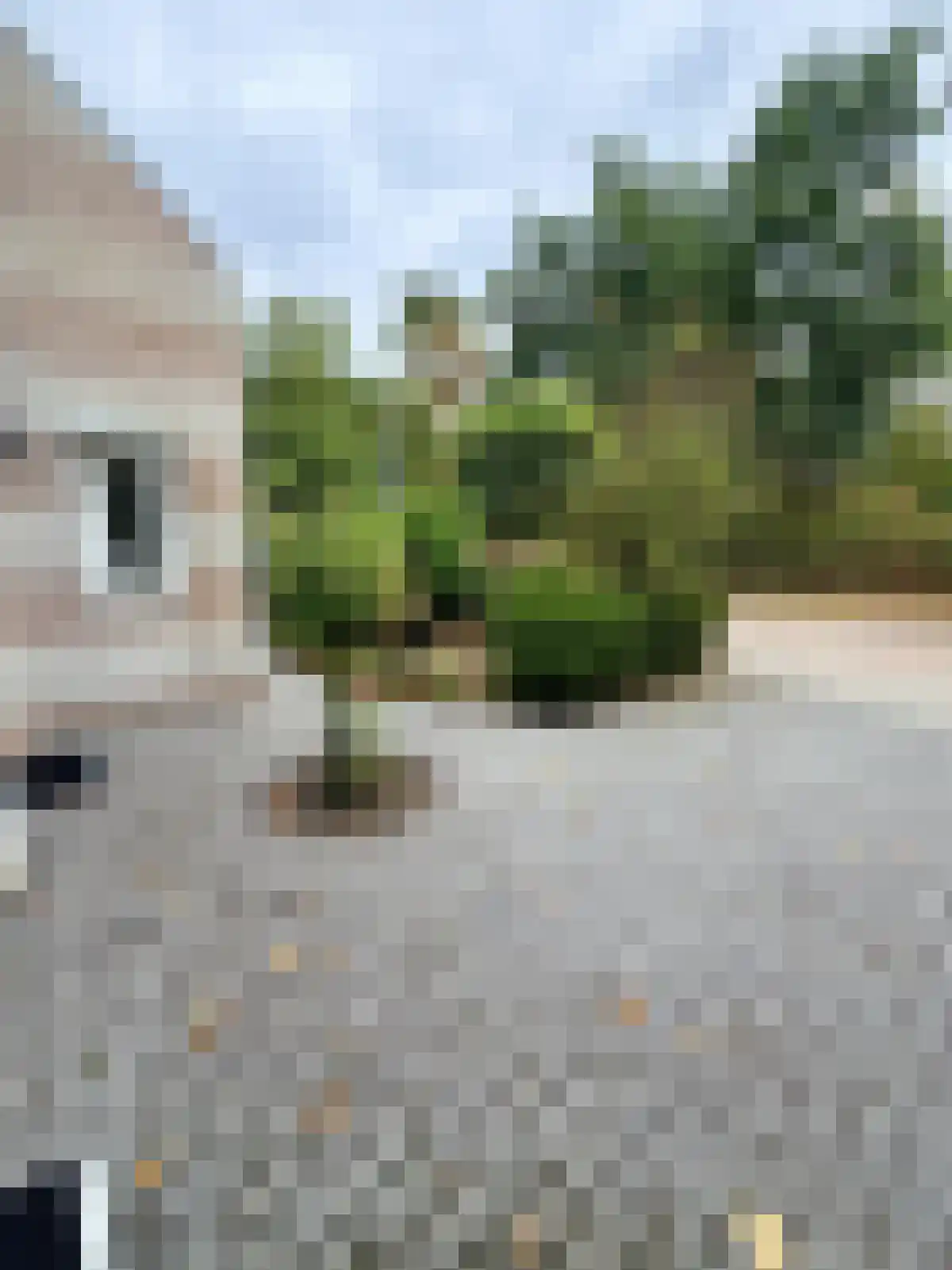 Raamsingel 70 Uden thumbnail 4
