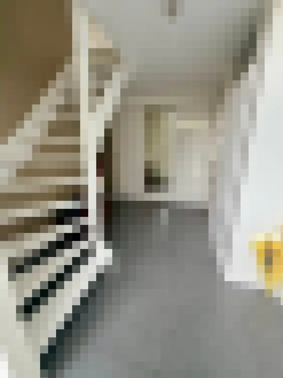 Raamsingel 70 Uden thumbnail 6