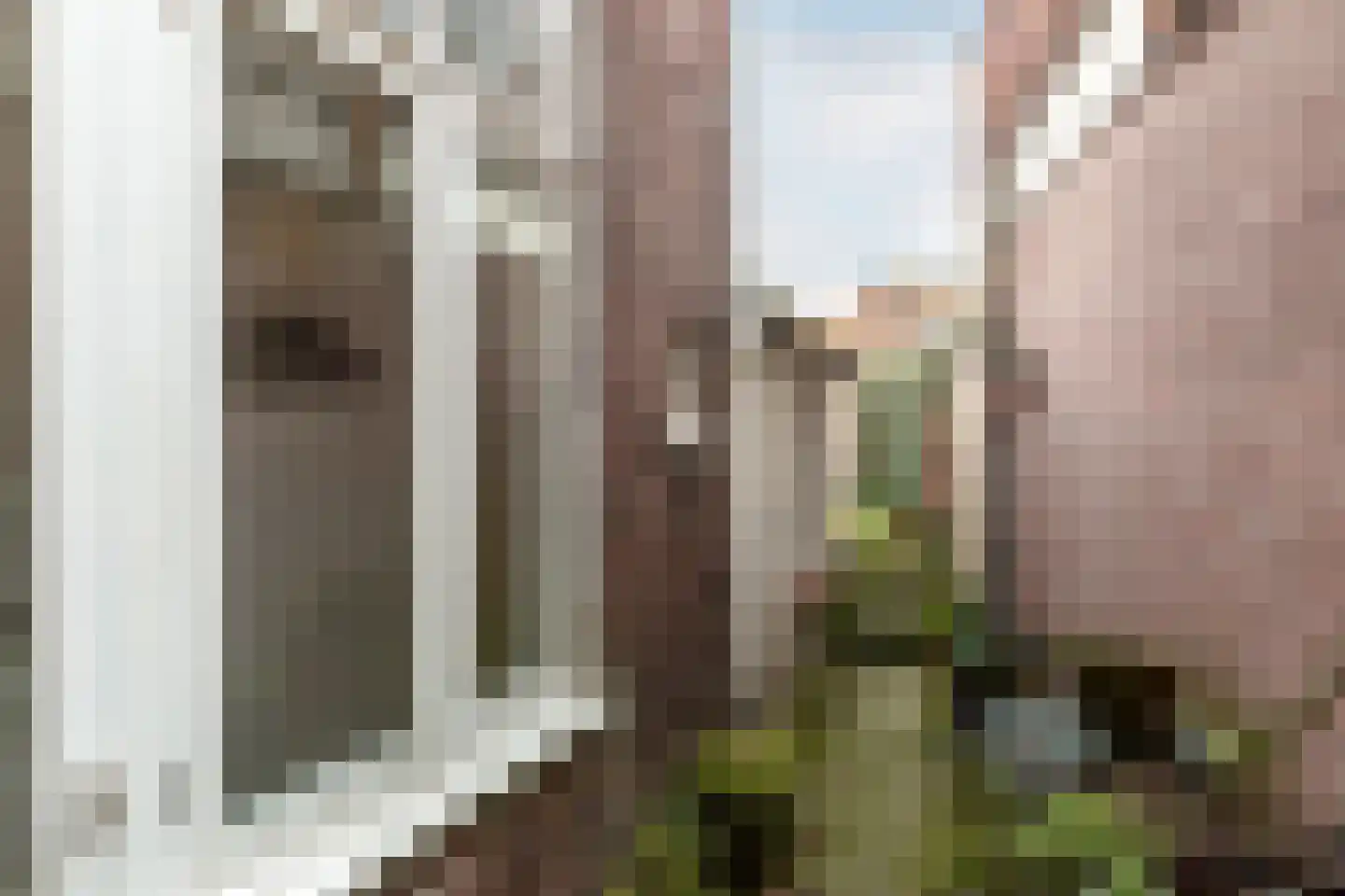 Raamsteeg 17 ZW Haarlem thumbnail 23