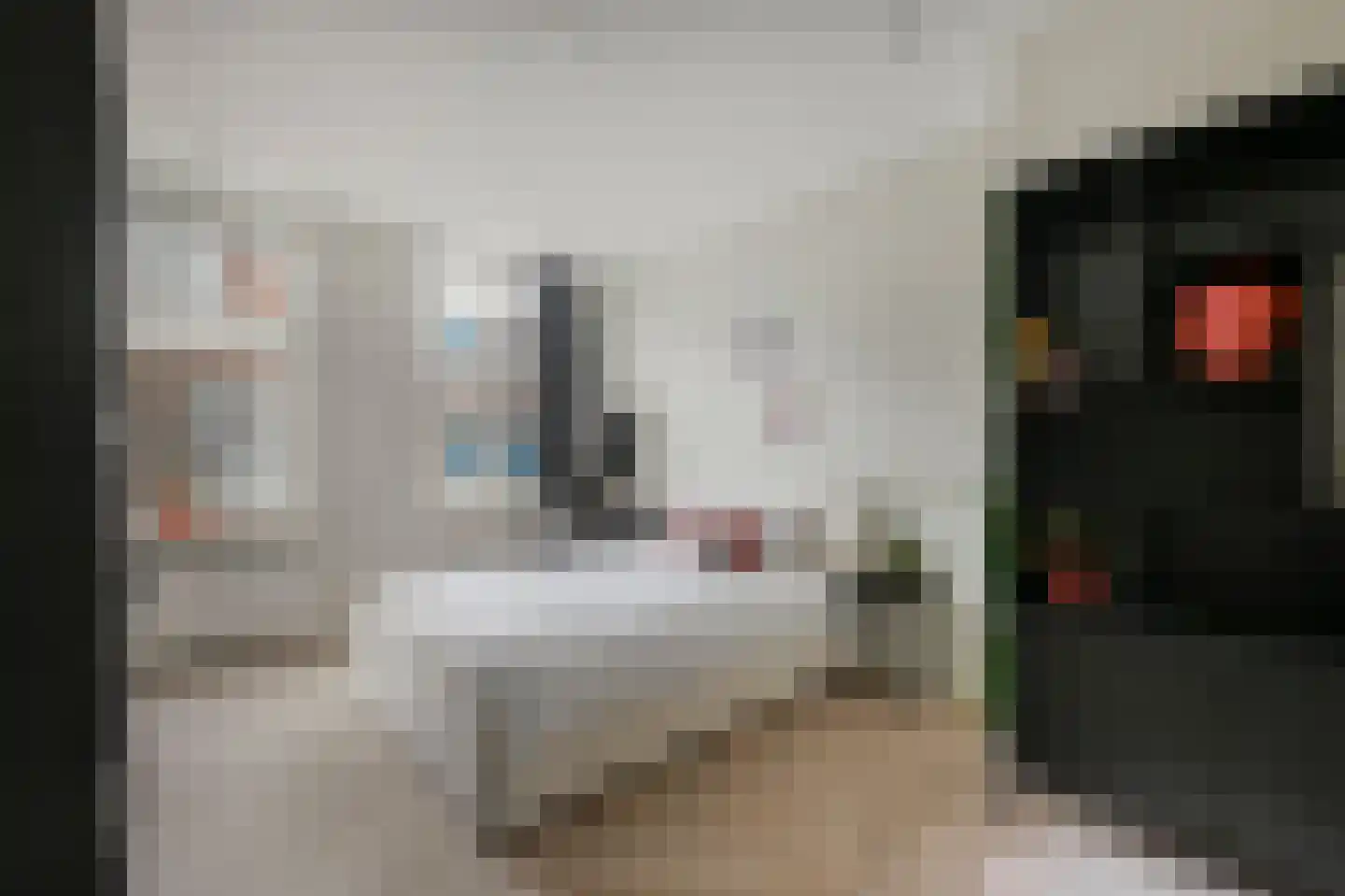 Raamsteeg 23 ZW Haarlem thumbnail 14
