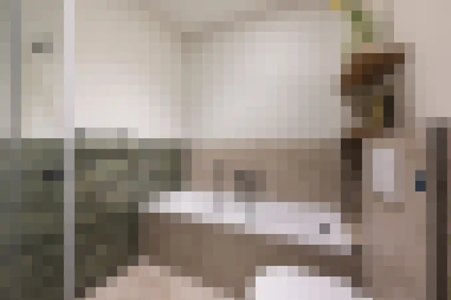 Raamsteeg 23 ZW Haarlem thumbnail 19