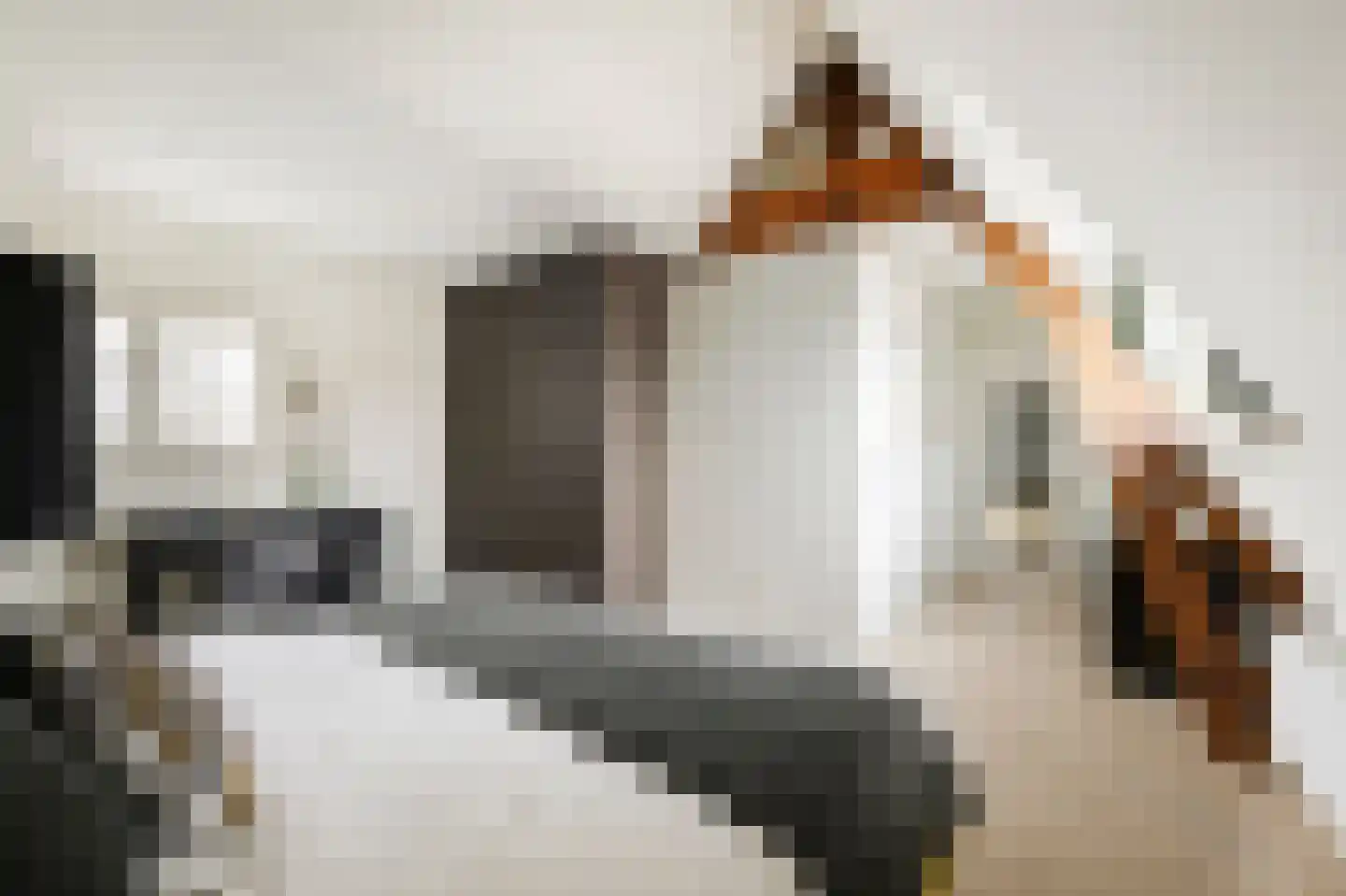 Raamsteeg 23 ZW Haarlem thumbnail 22