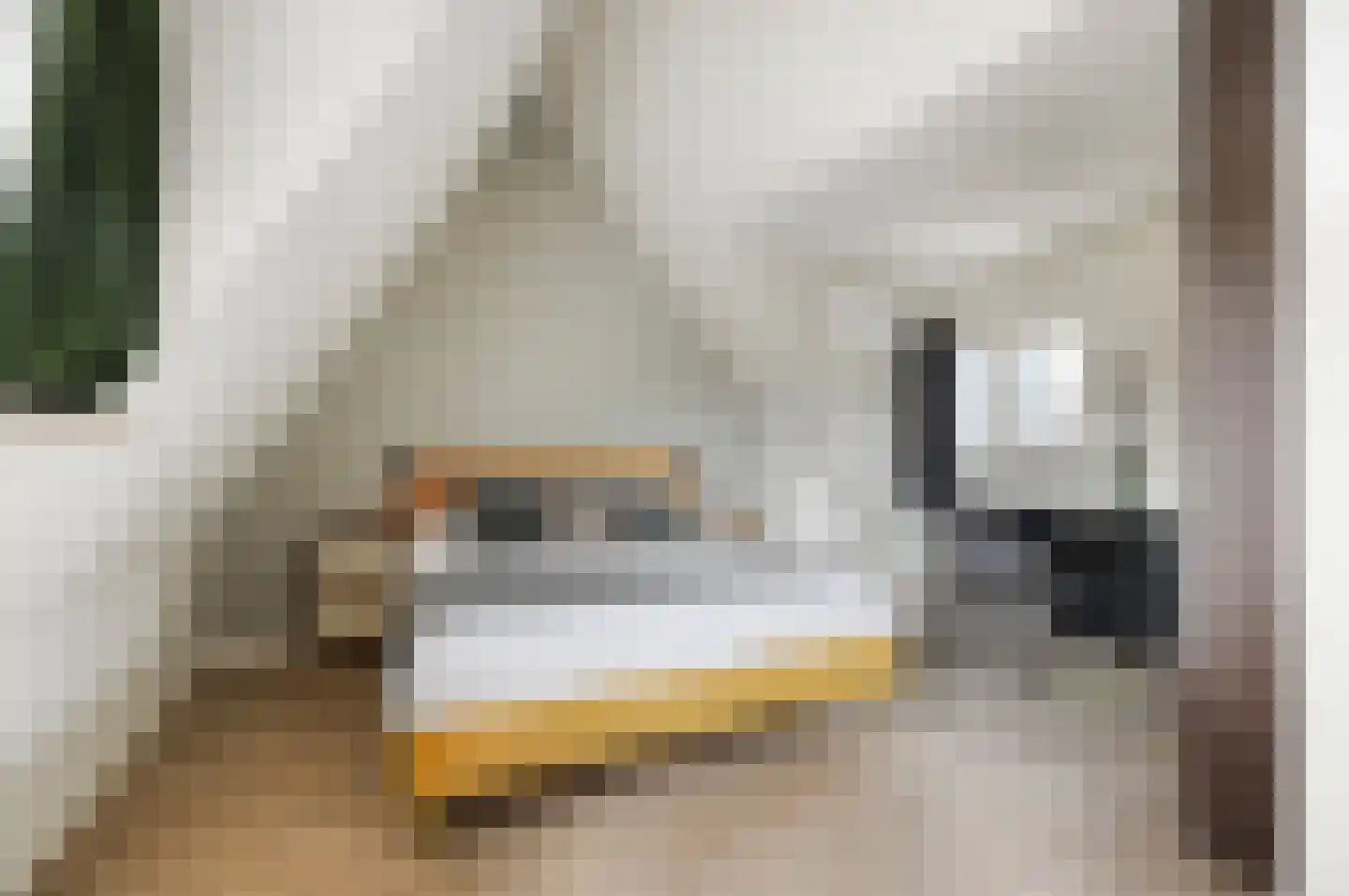 Raamsteeg 23 ZW Haarlem thumbnail 23