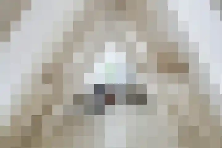 Raamsteeg 41 Leiden thumbnail 17