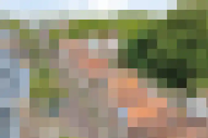 Raamsteeg 41 Leiden thumbnail 25