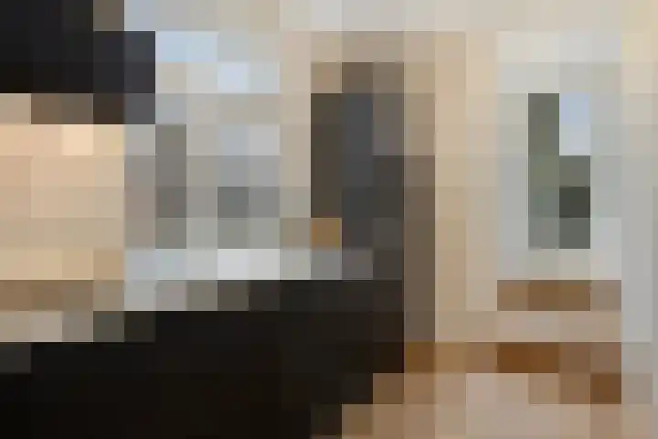 Raamsteeg 43 A Leiden thumbnail 17