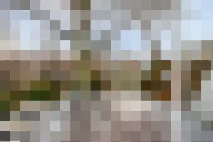 Raamsteeg 43 A Leiden thumbnail 30