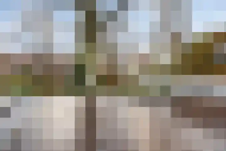 Raamsteeg 43 A Leiden thumbnail 31