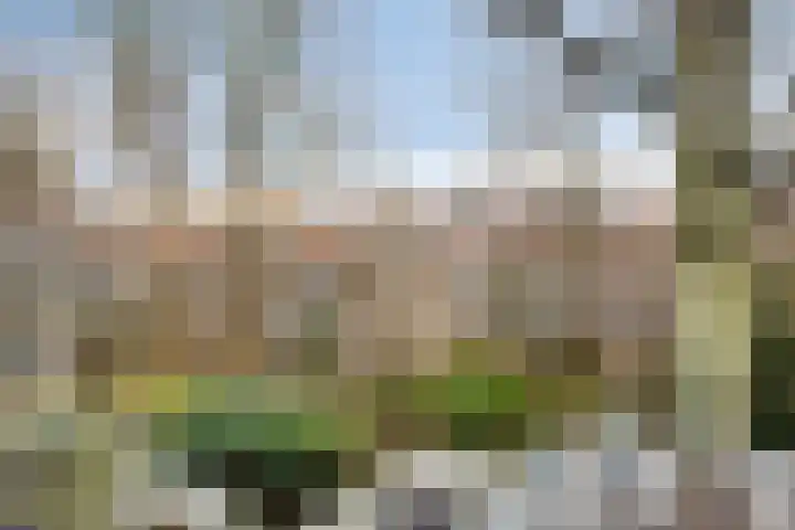 Raamsteeg 43 A Leiden thumbnail 35