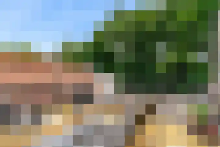 Raamsteeg 45 Leiden thumbnail 22