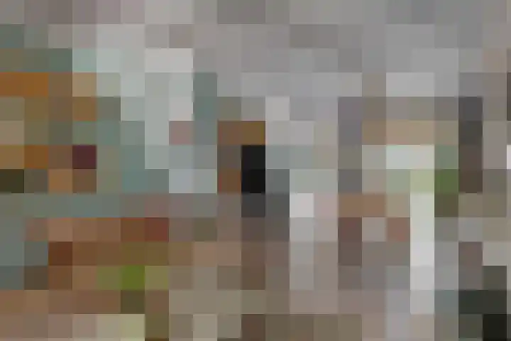 Raamsteeg 45 Leiden thumbnail 4