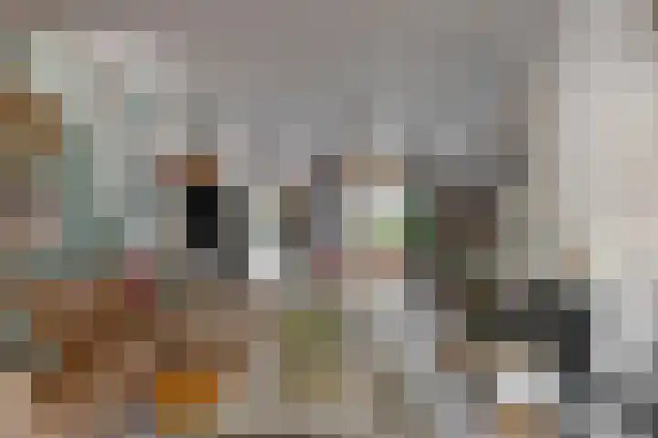 Raamsteeg 45 Leiden thumbnail 7