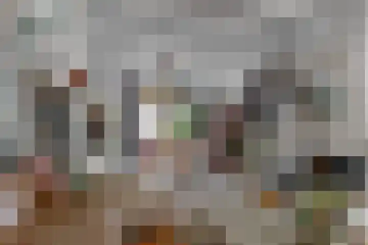 Raamsteeg 45 Leiden thumbnail 8