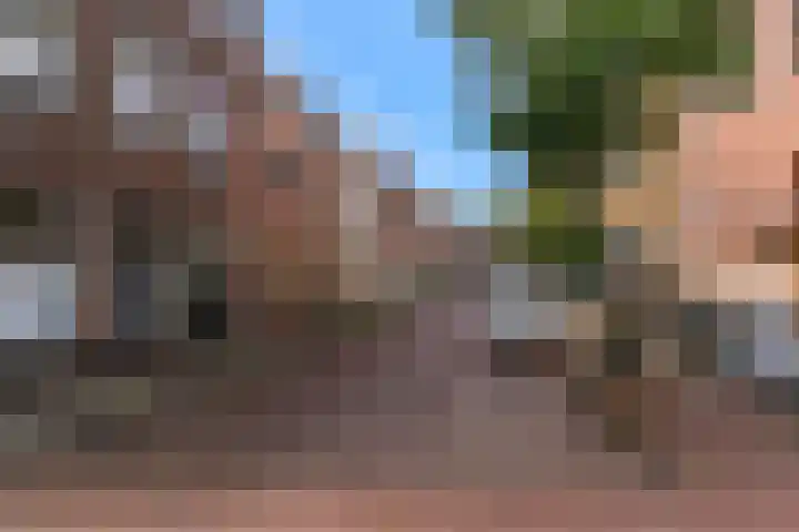 Raamsteeg 61 Leiden thumbnail 34