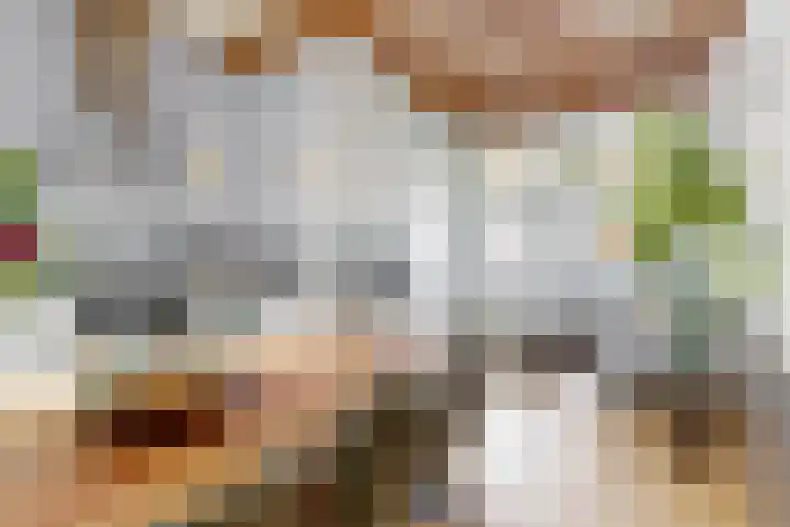 Raamsteeg 61 Leiden thumbnail 8