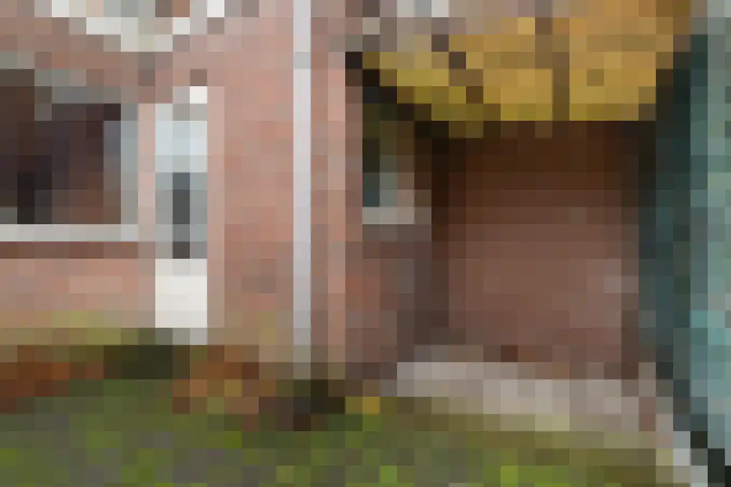 Raamstraat 120 Delft thumbnail 11