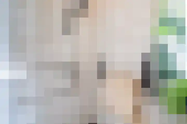 Raamstraat 120 Delft thumbnail 18