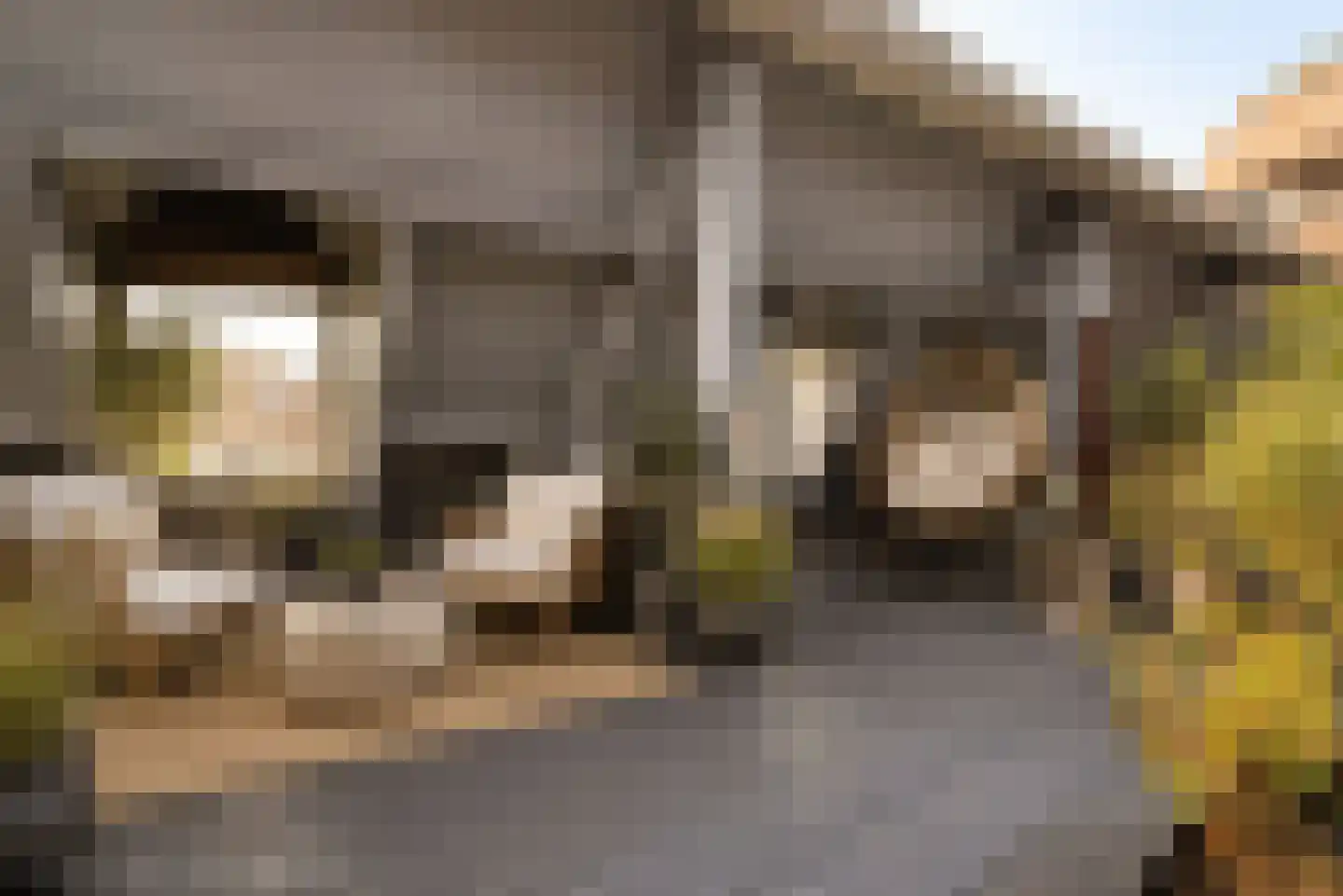 Raamstraat 18 B Den Haag thumbnail 43