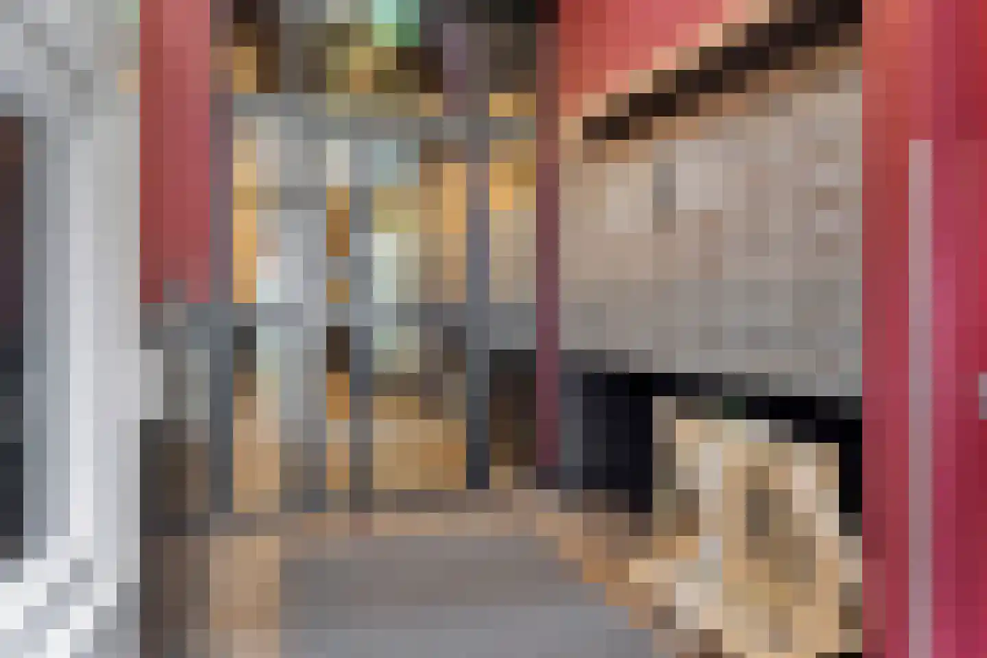 Raamstraat 18 B Den Haag thumbnail 6