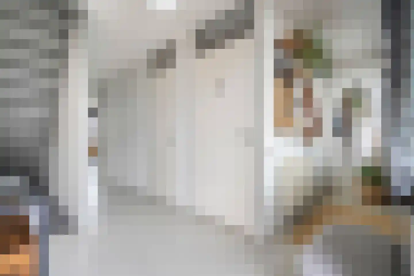 Raamstraat 18 B Den Haag thumbnail 9