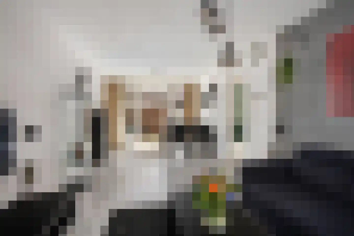 Raamstraat 38 Dordrecht thumbnail 6