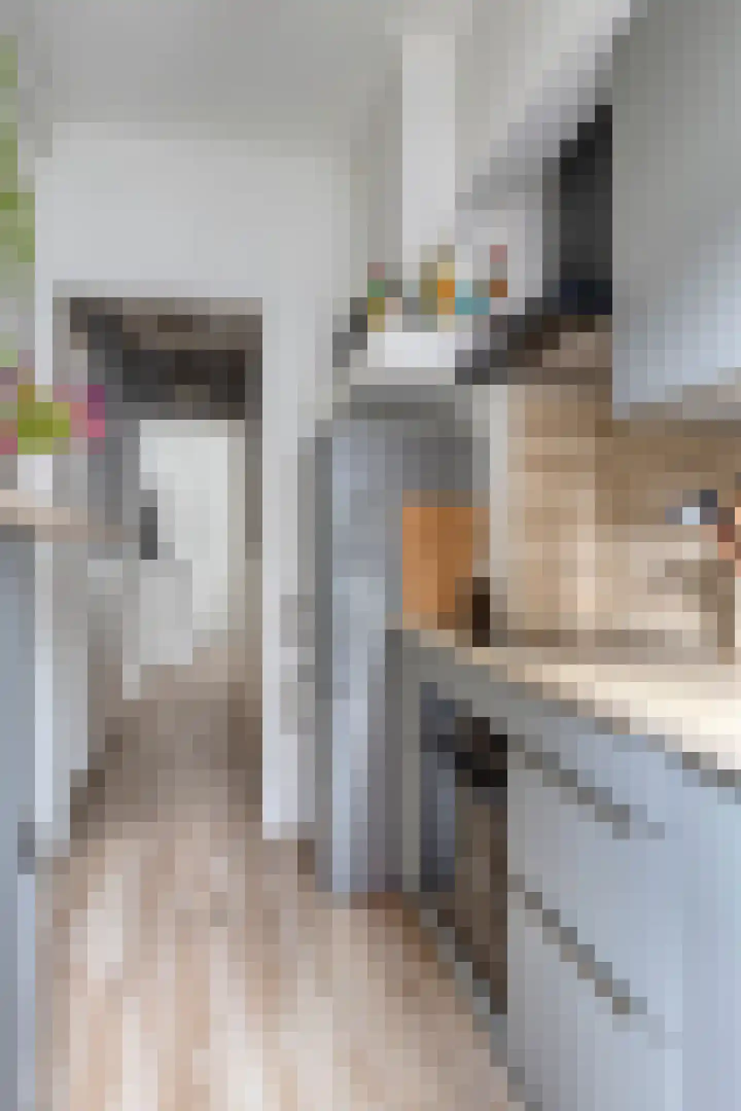 Raamstraat 44 Dordrecht thumbnail 7
