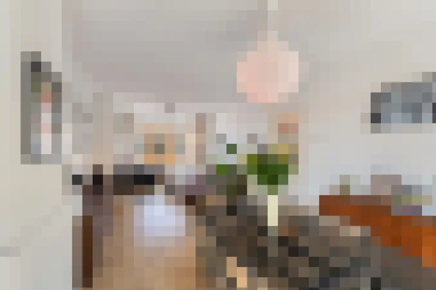 Raamstraat 46 Dordrecht thumbnail 8
