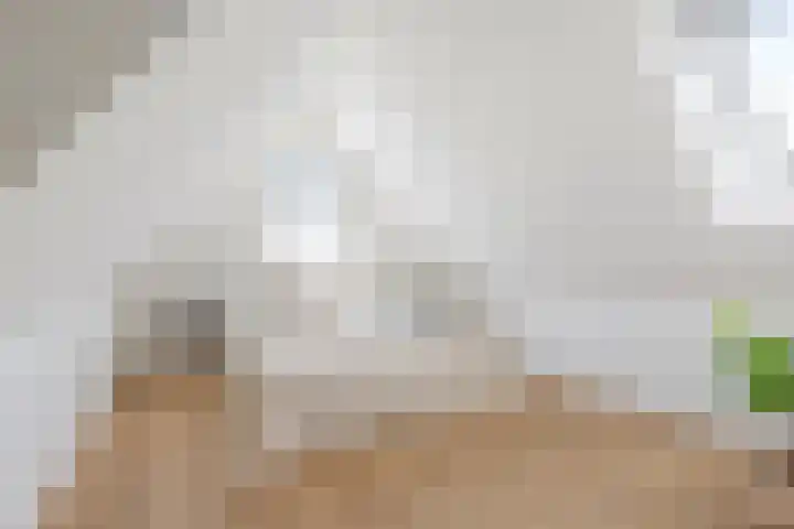 Raamstraat 5 2 Groningen thumbnail 29