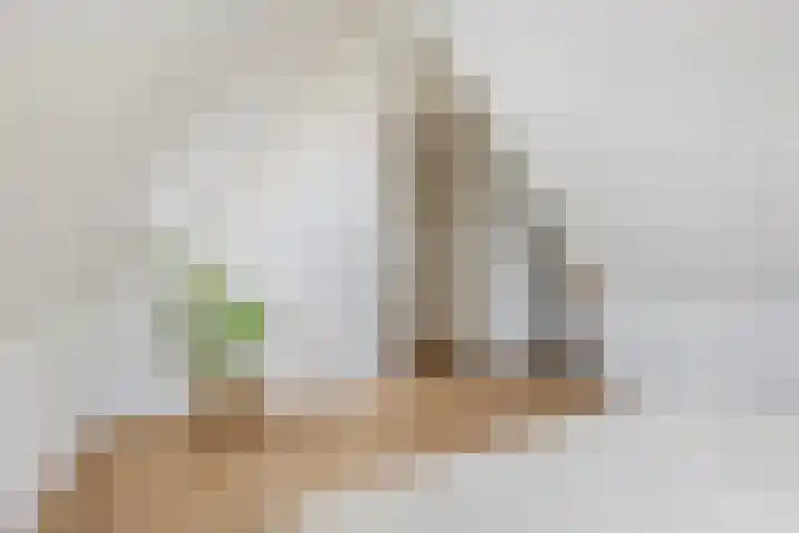 Raamstraat 5 2 Groningen thumbnail 30