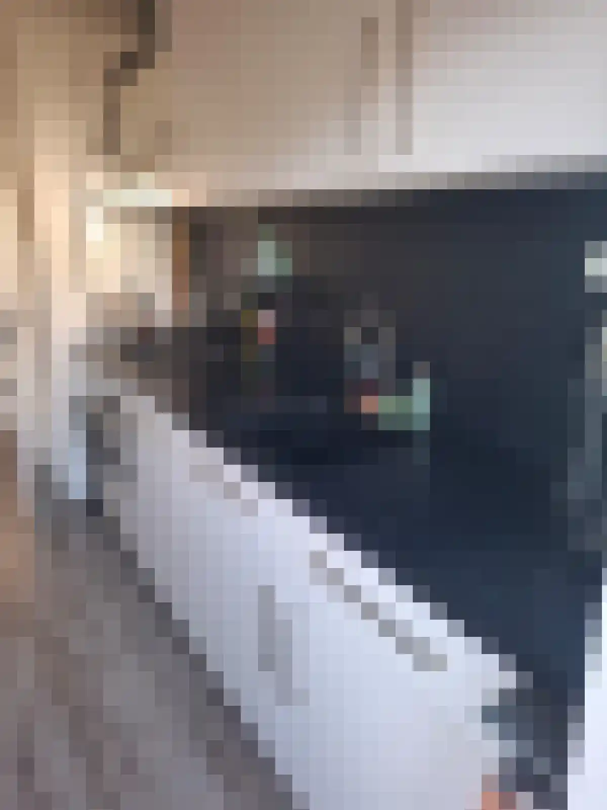 Raamstraat 6 Delft thumbnail 8