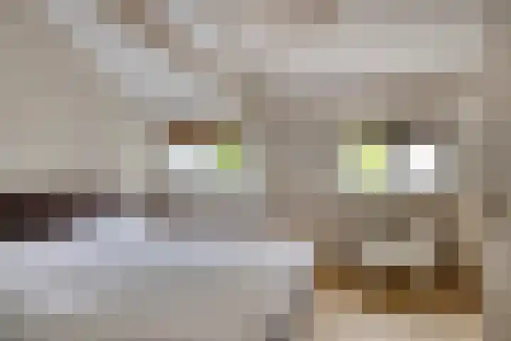 Raamstraat 9 Leiden thumbnail 15