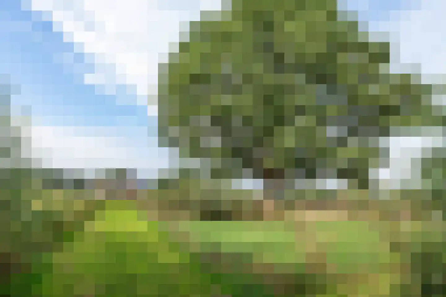 Raamsweg 14 Mariënheem thumbnail 10