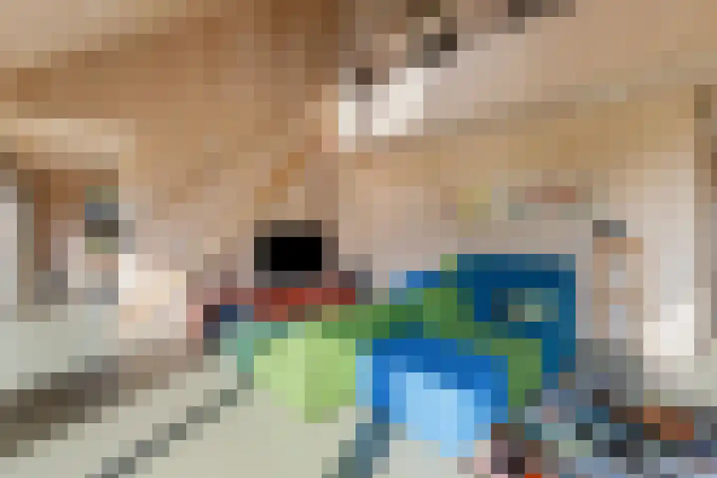 Raamsweg 14 Mariënheem thumbnail 12