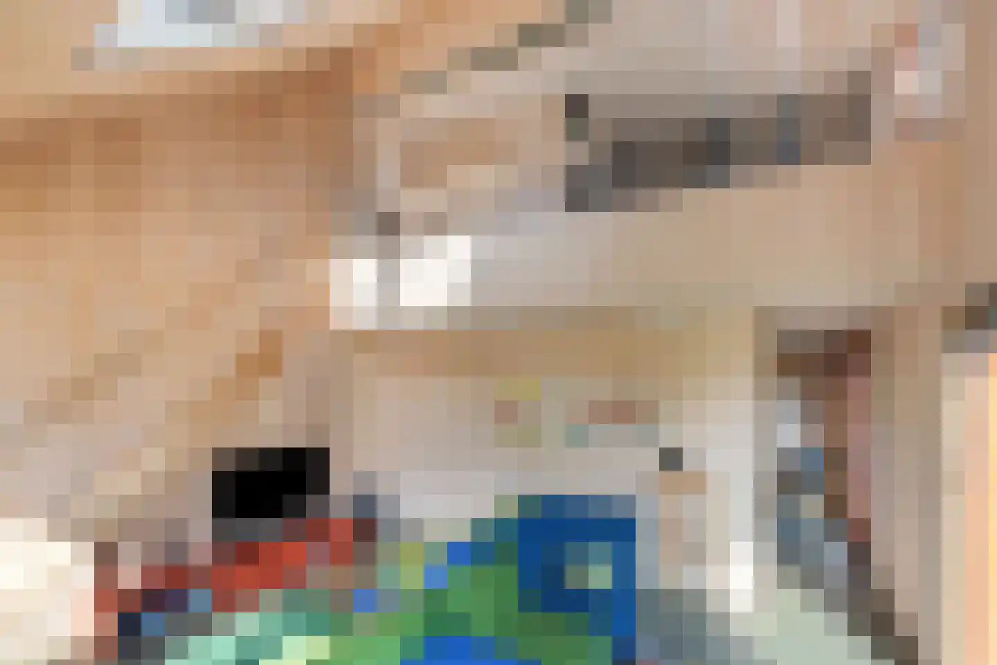 Raamsweg 14 Mariënheem thumbnail 17